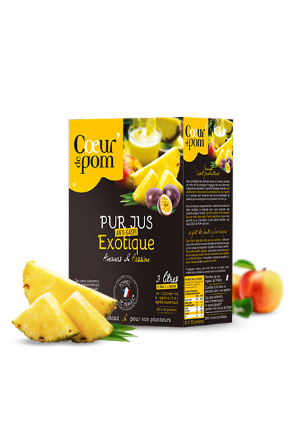 Pur jus de Fruits Exotique - Bag In Box 3 L Pur jus de fruits